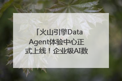 火山引擎Data Agent体验中心正式上线！企业级AI数据专家触手可及