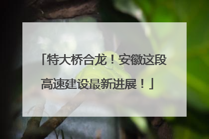 特大桥合龙！安徽这段高速建设最新进展！