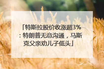 特斯拉股价收涨超3%：特朗普无意沟通，马斯克父亲劝儿子低头