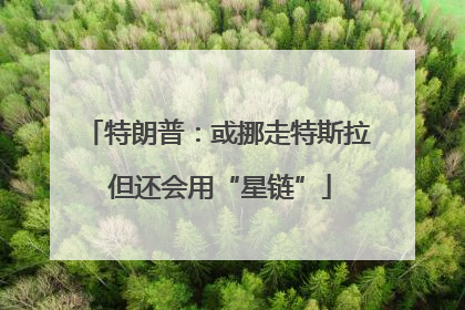 特朗普：或挪走特斯拉 但还会用“星链”