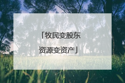 牧民变股东 资源变资产