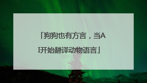 狗狗也有方言，当AI开始翻译动物语言
