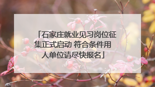 石家庄就业见习岗位征集正式启动 符合条件用人单位请尽快报名
