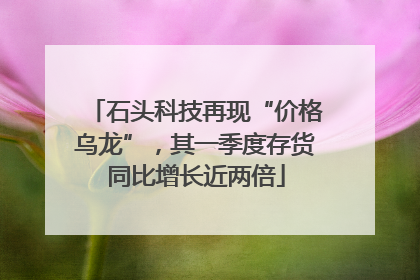 石头科技再现“价格乌龙”，其一季度存货同比增长近两倍