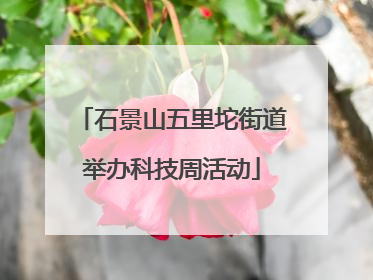 石景山五里坨街道举办科技周活动