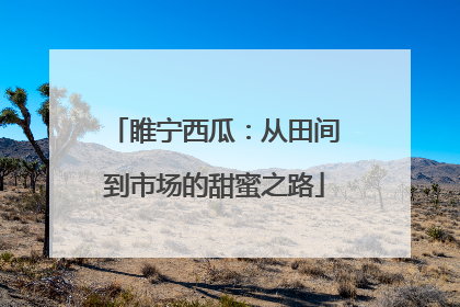 睢宁西瓜：从田间到市场的甜蜜之路