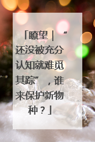 瞭望｜“还没被充分认知就难觅其踪”，谁来保护新物种？