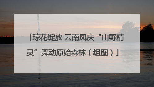 琼花绽放 云南凤庆“山野精灵”舞动原始森林（组图）