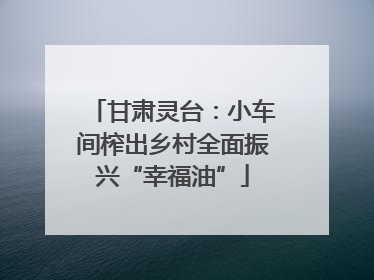 甘肃灵台：小车间榨出乡村全面振兴“幸福油”