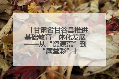 甘肃省甘谷县推进基础教育一体化发展——从“资源荒”到“满堂彩”