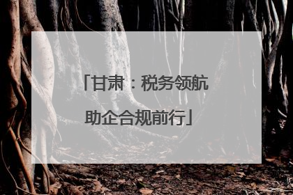 甘肃：税务领航 助企合规前行