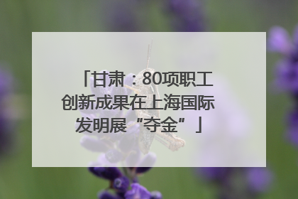 甘肃：80项职工创新成果在上海国际发明展“夺金”