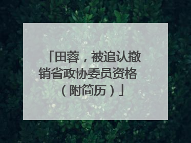 田蓉，被追认撤销省政协委员资格（附简历）