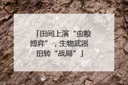 田间上演“虫粮博弈”，生物武器扭转“战局”