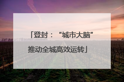 登封：“城市大脑”推动全城高效运转