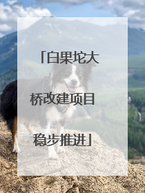 白果坨大桥改建项目稳步推进