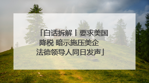 白话拆解丨要求美国降税 暗示施压美企 法德领导人同日发声