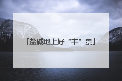 盐碱地上好“丰”景