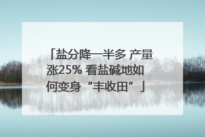 盐分降一半多 产量涨25% 看盐碱地如何变身“丰收田”