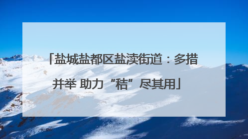盐城盐都区盐渎街道：多措并举 助力“秸”尽其用