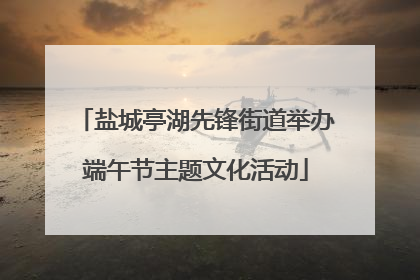 盐城亭湖先锋街道举办端午节主题文化活动