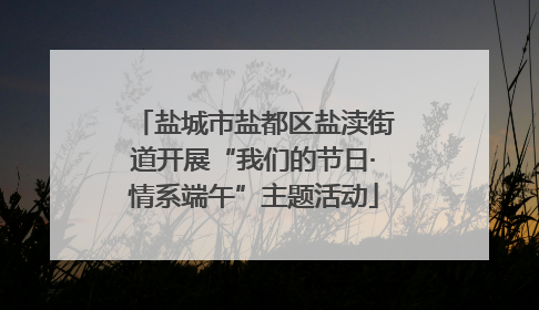 盐城市盐都区盐渎街道开展“我们的节日·情系端午”主题活动