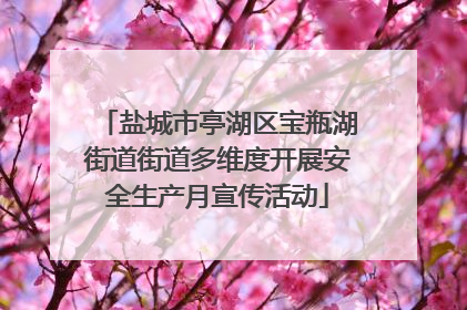 盐城市亭湖区宝瓶湖街道街道多维度开展安全生产月宣传活动