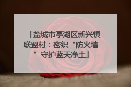 盐城市亭湖区新兴镇联盟村：密织“防火墙”守护蓝天净土