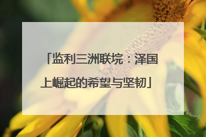 监利三洲联垸：泽国上崛起的希望与坚韧