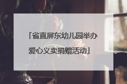 省直屏东幼儿园举办爱心义卖捐赠活动