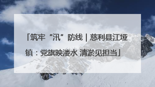 筑牢“汛”防线｜慈利县江垭镇：党旗映溇水 清淤见担当
