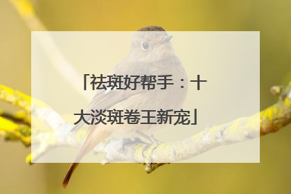 祛斑好帮手：十大淡斑卷王新宠