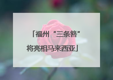 福州“三条簪”将亮相马来西亚