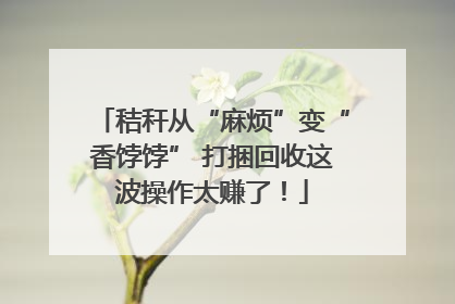 秸秆从“麻烦”变“香饽饽” 打捆回收这波操作太赚了！