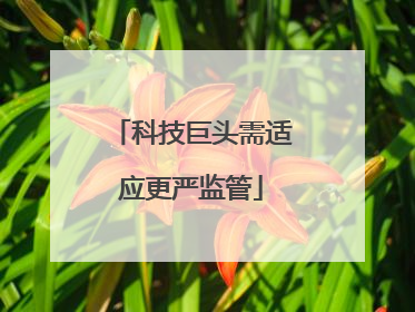 科技巨头需适应更严监管