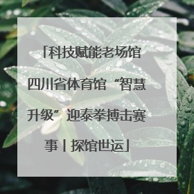 科技赋能老场馆 四川省体育馆“智慧升级”迎泰拳搏击赛事丨探馆世运