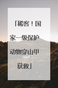 稀客！国家一级保护动物穿山甲获救