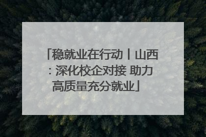 稳就业在行动丨山西：深化校企对接 助力高质量充分就业