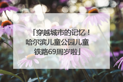 穿越城市的记忆！哈尔滨儿童公园儿童铁路69周岁啦