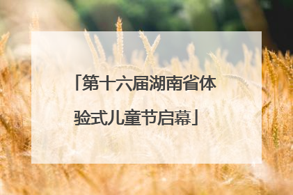 第十六届湖南省体验式儿童节启幕