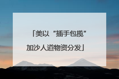 美以“插手包揽”加沙人道物资分发