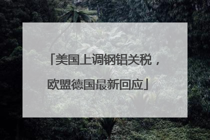 美国上调钢铝关税，欧盟德国最新回应