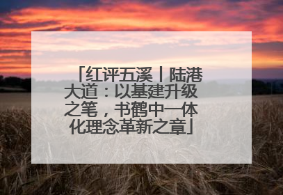 红评五溪丨陆港大道：以基建升级之笔，书鹤中一体化理念革新之章