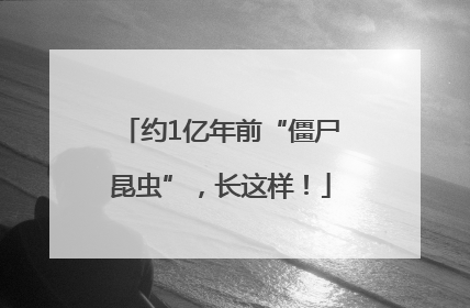 约1亿年前“僵尸昆虫”，长这样！