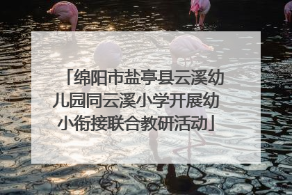 绵阳市盐亭县云溪幼儿园同云溪小学开展幼小衔接联合教研活动