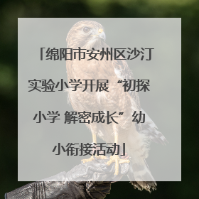 绵阳市安州区沙汀实验小学开展“初探小学 解密成长”幼小衔接活动