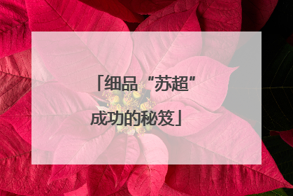 细品“苏超”成功的秘笈