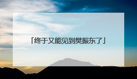 终于又能见到樊振东了