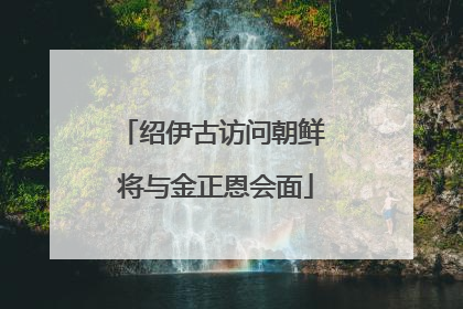 绍伊古访问朝鲜 将与金正恩会面