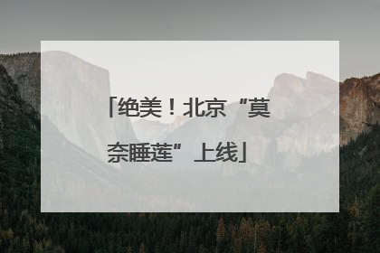 绝美！北京“莫奈睡莲”上线